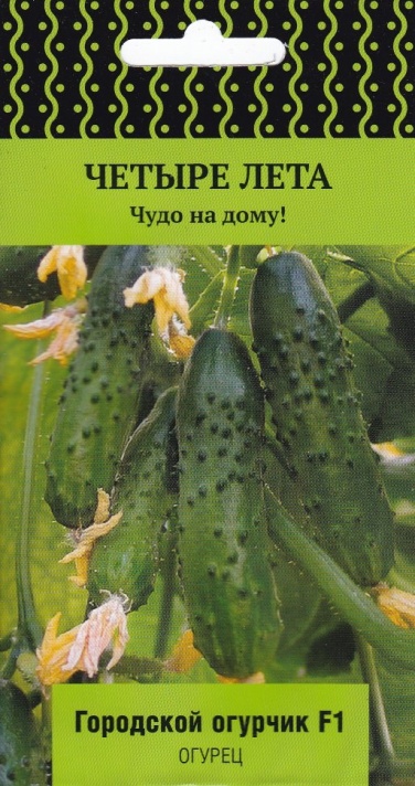огурец городской